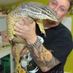 Varanus panoptes